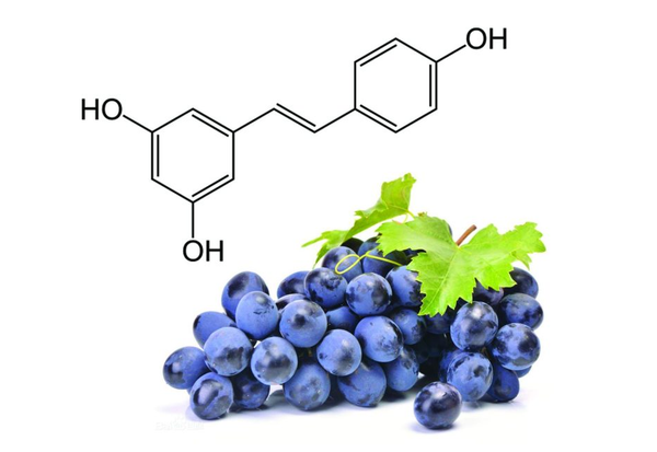 Ресвератрол