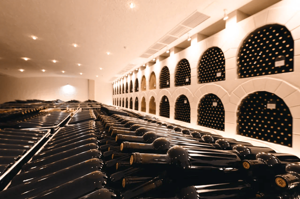 Винные погреба Chateau Cotes de Saint Daniel