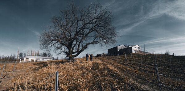 Семейная винодельня ГусевЪ
