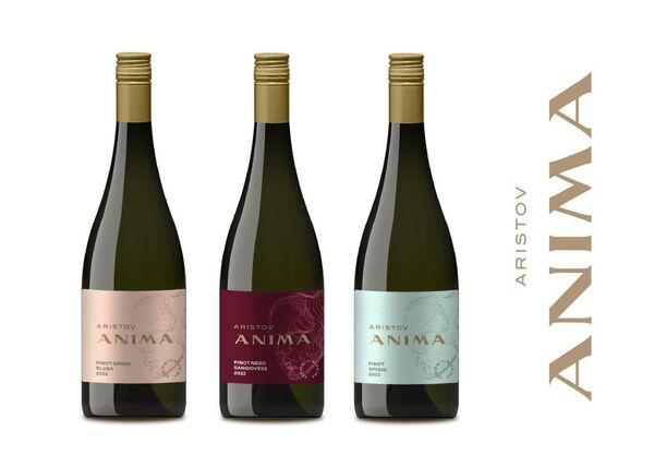 Линейка сухих вин в бренде Aristov Anima
