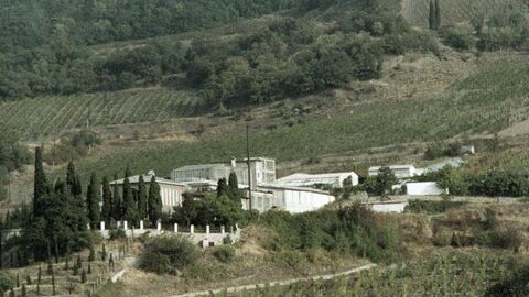 Опытный завод виноградных вин Всесоюзного научно-исследовательского института виноделия и виноградарства Магарач. Опытный завод виноградных вин Всесоюзного научно-исследовательского института виноделия и виноградарства Магарач.