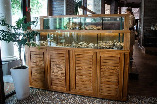 Аквариум ресторана Black Sea