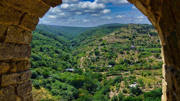 Виноградники Дербента