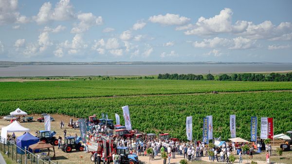 Всероссийский День поля для виноградарей (Краснодарский край)