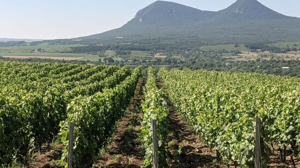 Tempelhof Winery