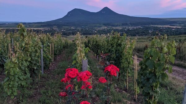 Tempelhof Winery