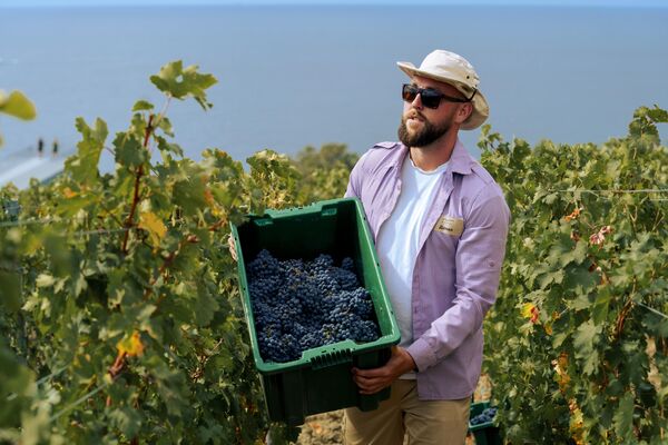 WinePark WinePark