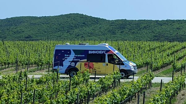 Винобус