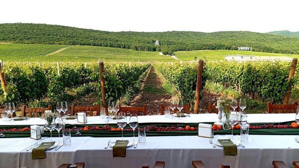 Nesterov Winery