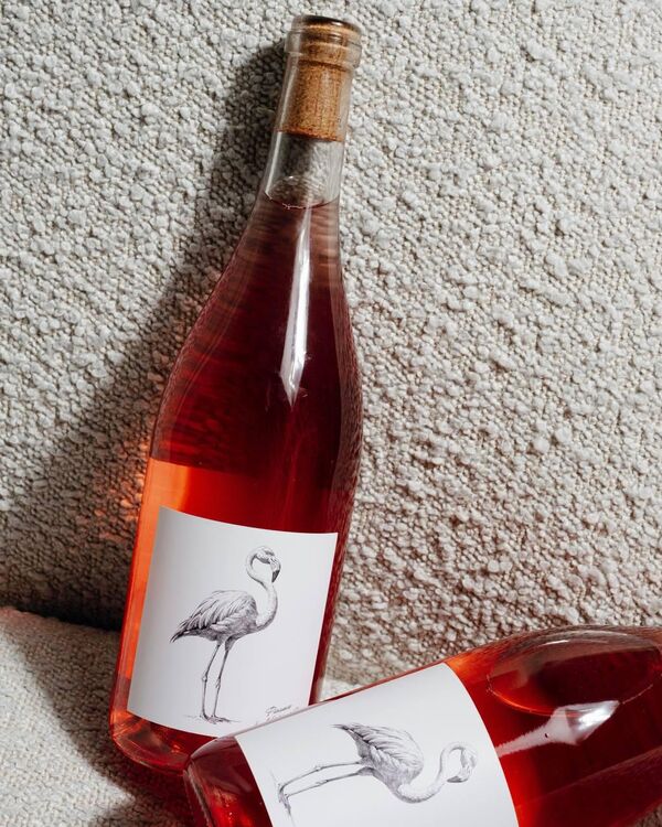 Вино сухое розовое, Nikolaev & Sons, Фламинго, Мальбек, 2024