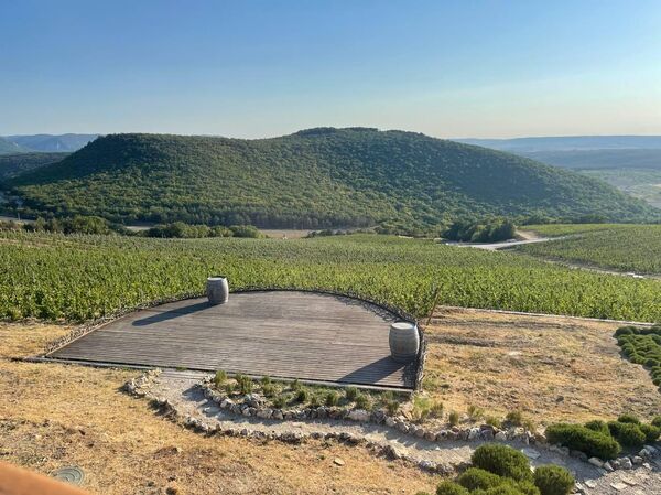 Виноградники Родное гнездо