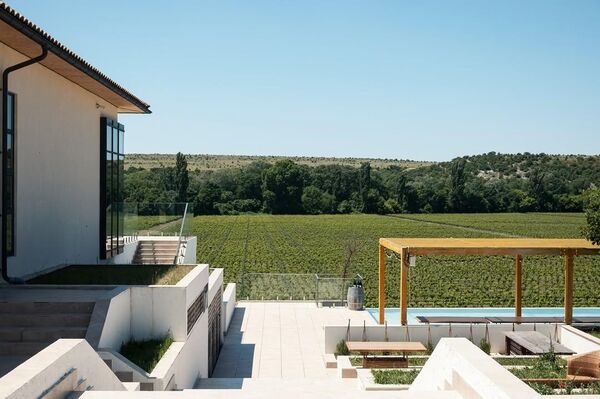 Винодельческое хозяйство Рема Акчурина