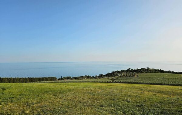 One Barrel By Dmitry Maslov