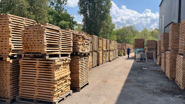 Лаборатория дуба: Золотая Балка открыла собственную бондарню