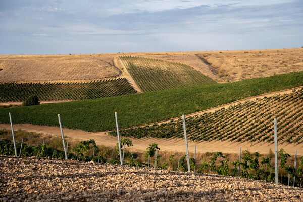Винодельня Аранчи, Крым