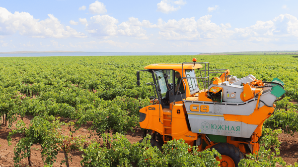 Агрофирма Южная, Краснодарский край (ВВЗ Кубань)