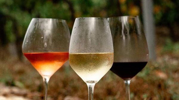 Российские виноделы увеличили производство тихих вин. Инкерман