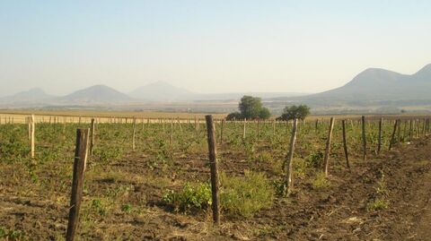 Ставропольский государственный аграрный университет. Исследование ВВЗ Ставрополье