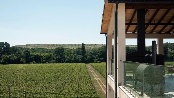 Винодельня Rem Akchurin