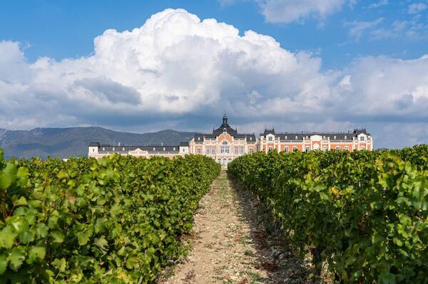 Château de Talu. Виноградники и главное здание винодельни. Château de Talu. Виноградники и главное здание винодельни.
