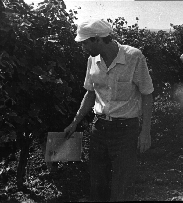 Леонид Трошин, доктор биологических наук, профессор КубГАУ Леонид Трошин, доктор биологических наук, профессор КубГАУ