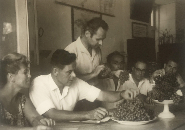 Леонид Трошин, доктор биологических наук, профессор КубГАУ Леонид Трошин, доктор биологических наук, профессор КубГАУ