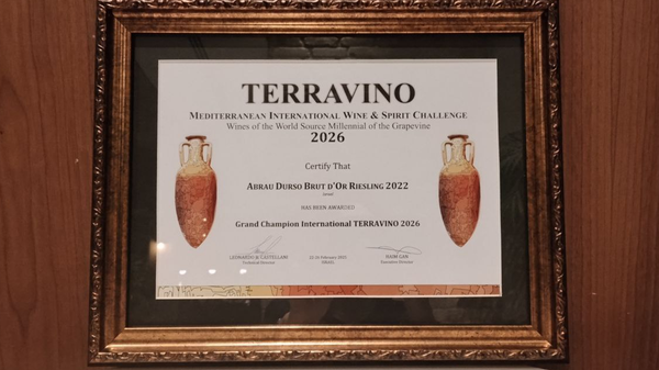 Международный дегустационный конкурс TERRAVINO в Израиле Международный дегустационный конкурс TERRAVINO в Израиле