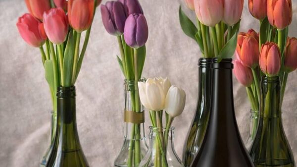 Тюльпаны и вино