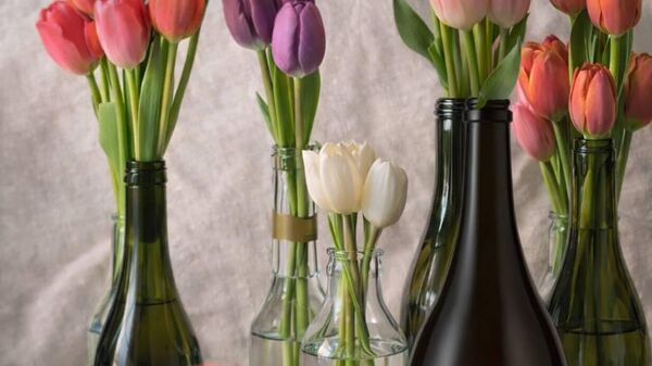 Тюльпаны и вино