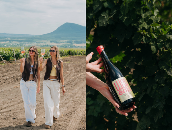 Елена Батрак (справа), винодел хозяйства Виталий Батрак и Ксения Батрак, маркетолог проекта (ВВЗ Ставрополье)