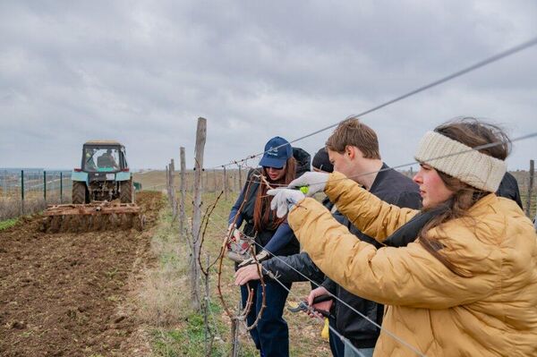 Выпускники СевГУ на предприятиях региона