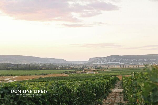 Винодельня Domaine Lipko (Крым)