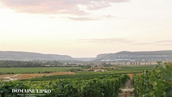 Винодельня Domaine Lipko (Крым) Винодельня Domaine Lipko (Крым)