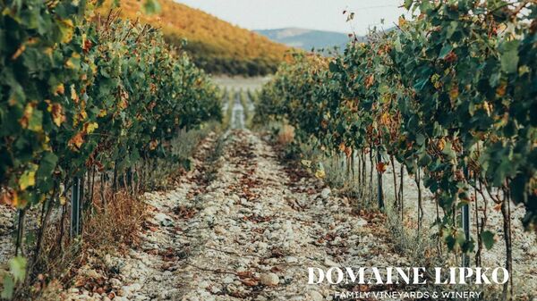Винодельня Domaine Lipko (Крым)