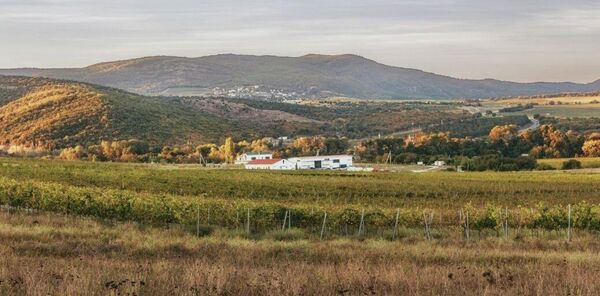 Винодельня Domaine Lipko (Крым)