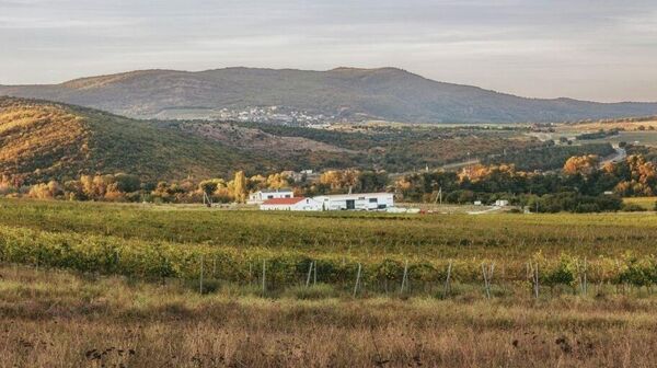 Винодельня Domaine Lipko (Крым)