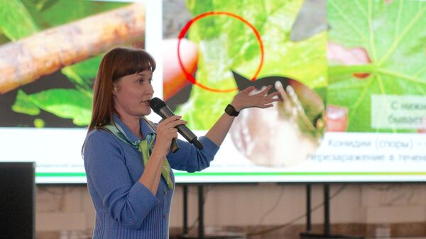 В Дербенте состоялся день бизнес-встреч Терруар Дагестана