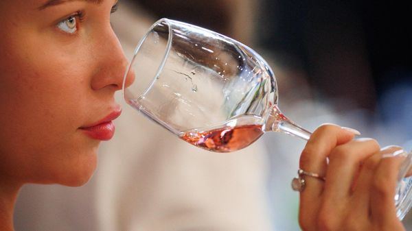 Summer Wine Fest 2026 Summer Wine Fest 2026