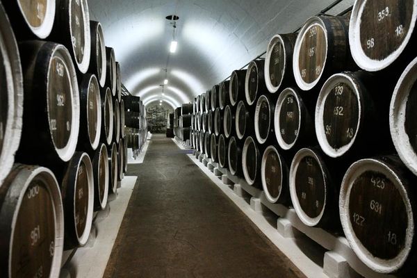 Винный погреб на винзаводе Массандра в Крыму. Винный погреб на винзаводе Массандра в Крыму.
