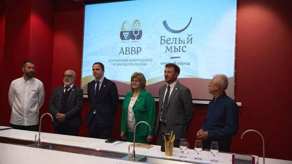 Дегустационная комиссия Кубка АВВР 2026