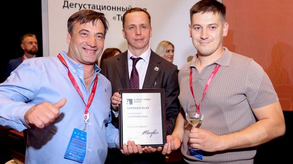 Победители Кубка АВВР 2026 – Temerinda Саперави 2024 - Серебро в категории Красные вина