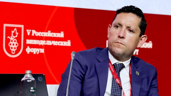 РВФ '26 · БРИКС. ВИНА НОВОГО НОВОГО СВЕТА: ЭКОНОМИКА, РЫНКИ, ПРИЗНАНИЕ. 22 октября РВФ '26 · БРИКС. ВИНА НОВОГО НОВОГО СВЕТА: ЭКОНОМИКА, РЫНКИ, ПРИЗНАНИЕ. 22 октября