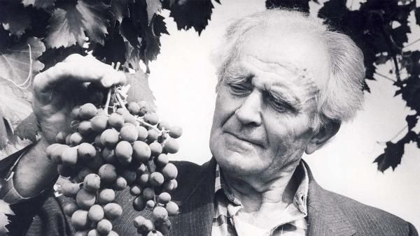 ПОТАПЕНКО Александр Иванович (1922–2010)