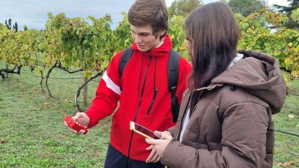 В Севастополе занялись подготовкой юных виноградарей